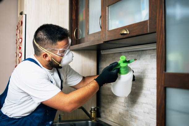 Best Flea Control Services  in Terrace Park, OH
