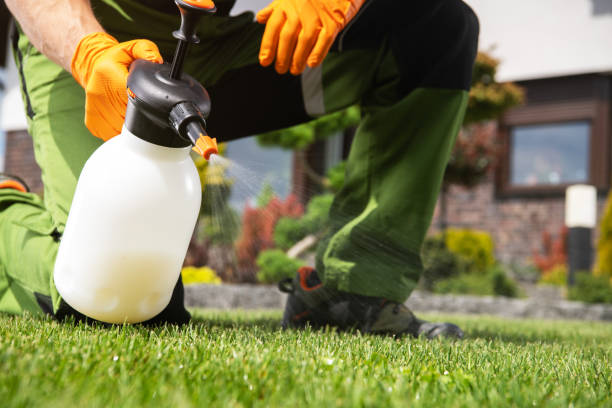 Best Mosquito Control Services  in Terrace Park, OH