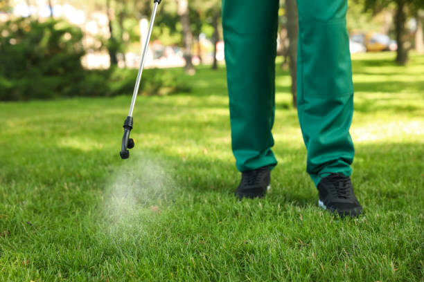 Best Wasp Removal Services  in Terrace Park, OH