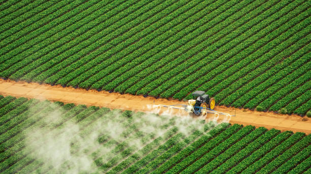 Best Commercial Pest Control Services  in Terrace Park, OH