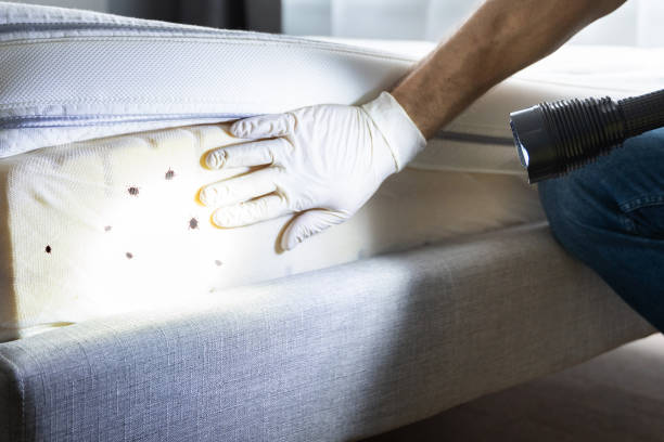 Best Termite Control Services  in Terrace Park, OH